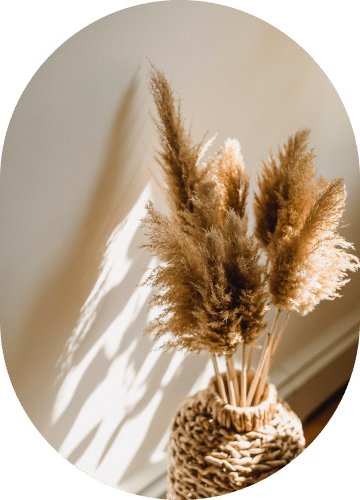 Parlor Palm